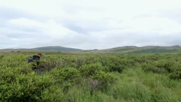Május 2018 Fényképész Hátizsák Séta Vadonban Kamchatka Félsziget Távol Keleti — Stock videók