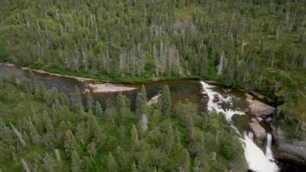 Letecký Pohled Nad Smrkovým Lesem Sitka Keňském Poloostrově Aljaška Usa — Stock video
