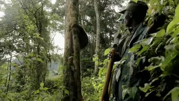 Aug 2018 Camera Guides Rangers Thick Jungle Path Searching Mountain — Stock Video