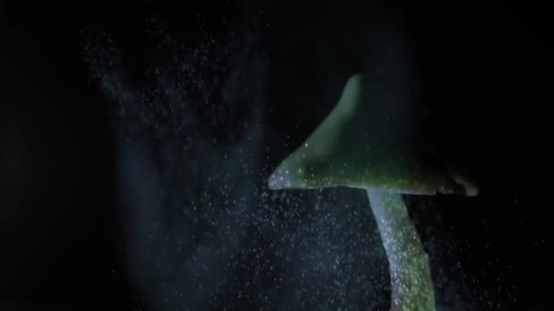 Waves Spores Being Released Psilocybin Magic Psychedelic Mushrooms — Stock Video