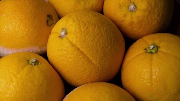 Meyvelerin Çürüme Çürüme Bozulma Çürüme Küflenme Zamanları Mantarların Yaşam Döngüsündeki — Stok video