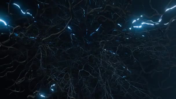 菌糸体は森の中を通って地下の巨大なリンクのような神経ネットワークに成長します 3Dアニメーション — ストック動画