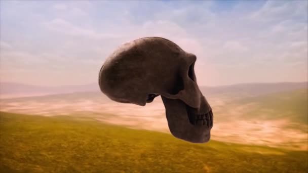 Evolution Human Skull Caveman Skull Present Human Skull Animation — Stockvideo