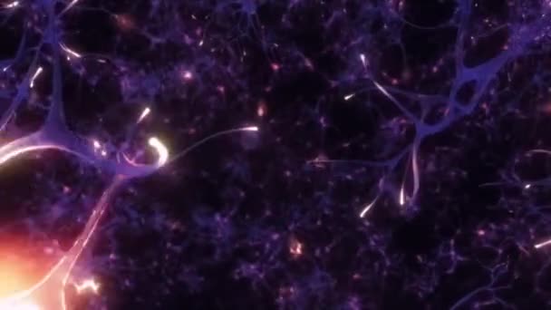 Nöron Ağı Nöron Yapısı Elektrik Sinyalleri Gönderiyor Birbirleriyle Iletişim Kuruyorlar — Stok video