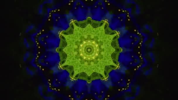 Bunga Fraktal Abstrak Latar Belakang Kaleidoskop Abstrak Pola Grafis Gerak — Stok Video