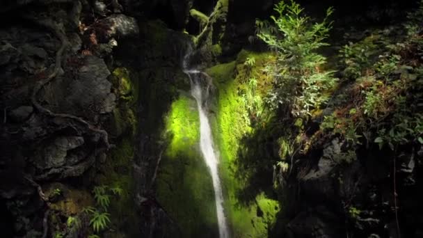 Kleiner Bergwasserfall Kristallklares Wasser Große Mit Moos Bewachsene Steine Der — Stockvideo