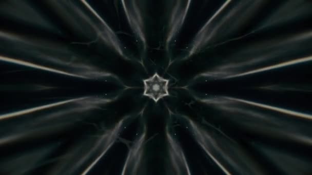 Soyut Fraktal Çiçek Soyut Kaleydoskop Arkaplan Hareket Grafikleri Deseni Fraktal — Stok video
