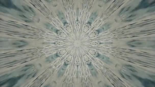 Flor Fractal Abstrata Caleidoscópio Abstrato Fundo Padrão Gráficos Movimento Filmagem — Vídeo de Stock