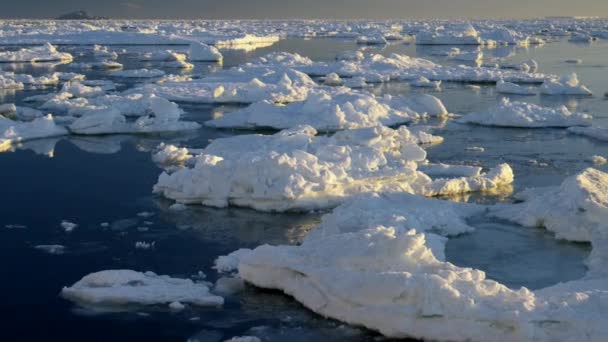 南極での巡航 南極の融解氷河から巨大な浮遊氷山 地球温暖化と気候変動 南極の雪の山と氷の海岸の風景 — ストック動画
