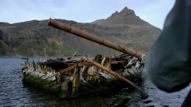 March 2019 Photoprapher Takes Photo Abandoned Derelict Whaling Station Grytviken — Wideo stockowe