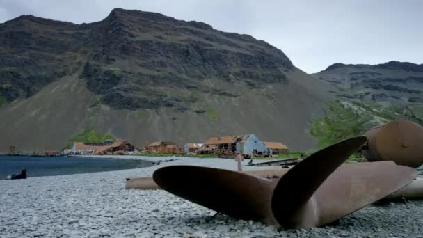 Maart 2019 Het Verlaten Verlaten Walvisstation Van Grytviken South Georgia — Stockvideo
