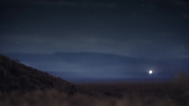 在坦桑尼亚非洲稀树草原的夜晚场景中的猎豹 — 图库视频影像