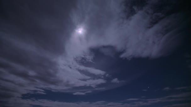 Африканская Саванна Ночное Небо Лунным Светом Облаками Танзания — стоковое видео