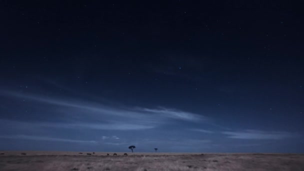 African Savanna Landscape Night Scene Tanzania — Vídeo de Stock