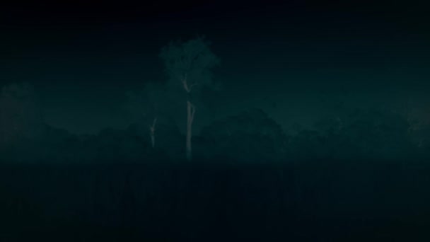 African Savanna Landscape Night Scene Tanzania — Wideo stockowe