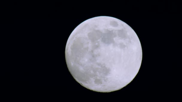 Cielo Nocturno Con Luna Llena — Vídeos de Stock