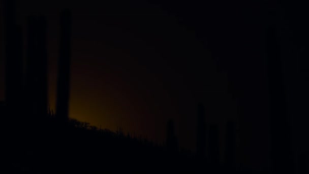 Time Lapse Video Zonsopgang Silhouet Saguaro Cactus Sonoran Desert Saguaro — Stockvideo