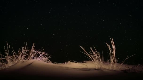Paisaje Del Desierto Sonora Por Noche Parque Nacional Saguaro Arizona — Vídeos de Stock