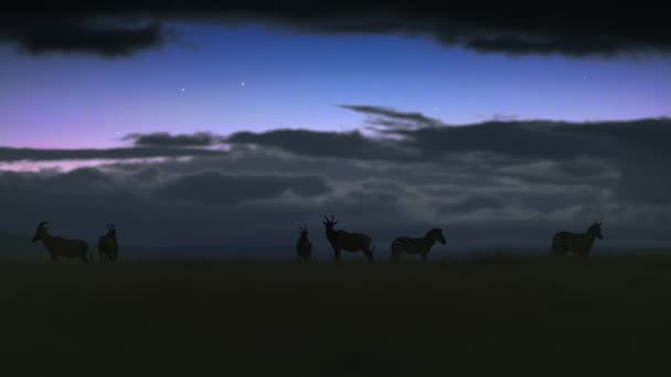 African Savanna Landscape Animal Silhouettes Night Σκηνή Τανζανία — Αρχείο Βίντεο