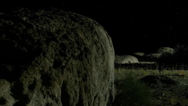 Sonoran Desert Landscape Night Scene Saguaro National Park Arizona Usa — 图库视频影像