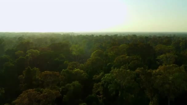 캄보디아 앙코르 근처의 하늘에서 — 비디오