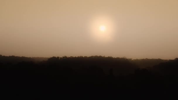 Widok Lotu Ptaka Bujny Zielony Las Zachodem Słońca Kribi Kamerun — Wideo stockowe