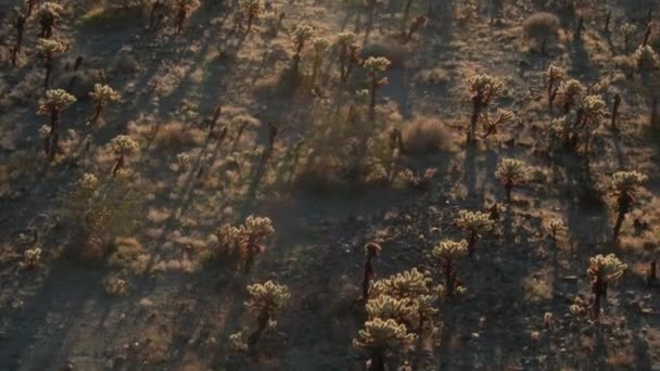 アメリカ南西部の砂漠の空中風景 — ストック動画