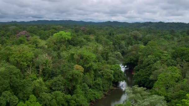 Вид Горы Тропические Леса Облаками Туман Солнечные Лучи Коста Рика — стоковое видео