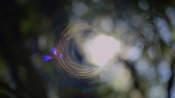 Optik Lens Alev Efekti Gerçekçi Lens Fişeği Stüdyo Fişeği Işık — Stok video