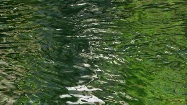 スローモーションタンニンステンドグラス湖の水をさざ波 強いグレア偏光なし 要旨の背景 — ストック動画