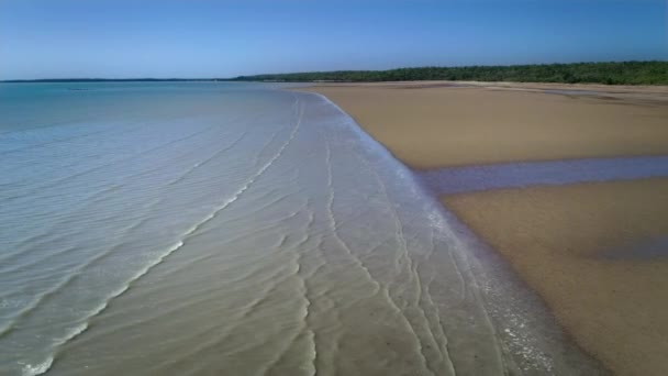 Luftaufnahmen Vom Watt Cungulla Beach Townsville North Queensland Australien — Stockvideo