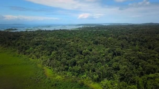 Вид Густых Тропических Лесов Острове Бокас Дель Торо Панама — стоковое видео