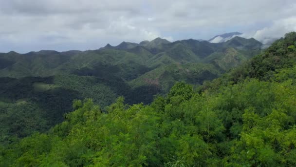 Άποψη Του Δάσους Στο Εθνικό Πάρκο Alejandro Humboldt Baracoa Κούβα — Αρχείο Βίντεο