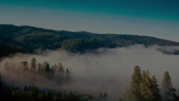 Flygfoto Över String Lake Mountains Grand Teton National Park Wyoming — Stockvideo