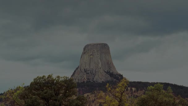 Das Devils Tower National Monument Und Kiefernwald Wyoming Usa Uhd — Stockvideo