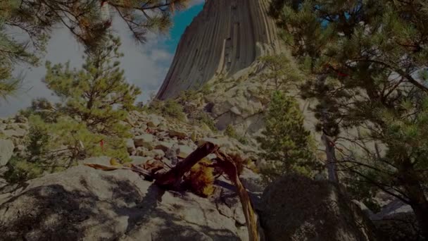 Devils Tower National Monument Pine Forest Wyoming Usa Uhd — Stockvideo