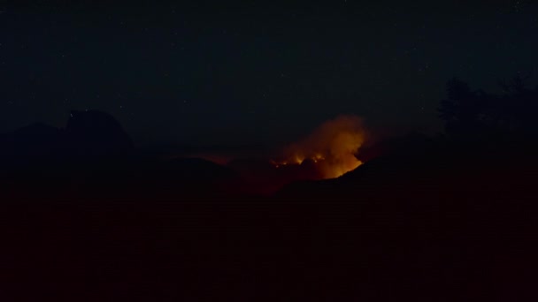 Timelapse Fire Forest Ash Burn Tree Smoke Fire Evening Redwood — Video