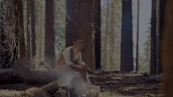 Август 2017 Старик Скульптурный Лес Лесу Национальном Парке Йосемити Калифорния — стоковое видео