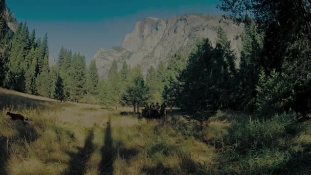 August 2017 Grupp Män Cowboydräkt Ridning Häst Skogen Vid Yosemite — Stockvideo