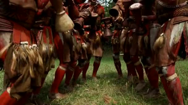 Nov 2016 Huli Wigmen Esegue Una Danza Salto Goroka Show — Video Stock