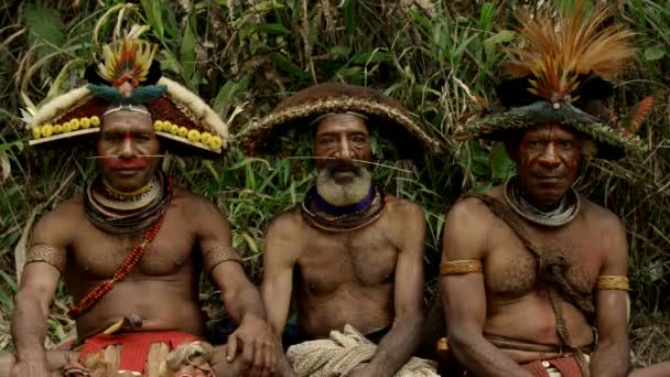Nov 2016 Huli Wigmen Tribal Warriors Hagen Highland Area Papua — Stock Video