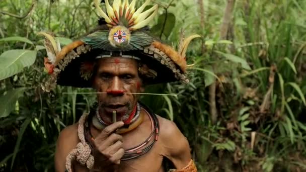 Nov 2016 Huli Wigmen Tribal Warriors Hagen Highland Area Papua — Stock Video