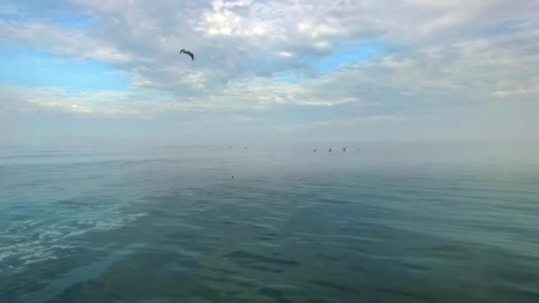 Říjen 2018 Rybář Surfující Tradičních Peruánských Malých Rákosových Člunech Caballitos — Stock video