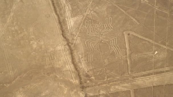 Spider Geoglyphs Nazca Lines Nazca Woestijn Unesco Werelderfgoed Peru Zuid — Stockvideo
