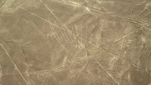 Condor Geoglyphs Nazca Lines Nazca Woestijn Unesco Werelderfgoed Peru Zuid — Stockvideo