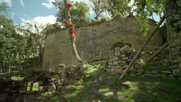 库拉普要塞是由秘鲁亚马孙的查查波亚文化建造的 拥有保护城堡的巨大城墙 — 图库视频影像