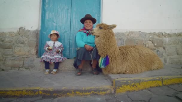 October 2018 Traditional Woman Daughter Llamas Sitting Cusco Street Capital — Video
