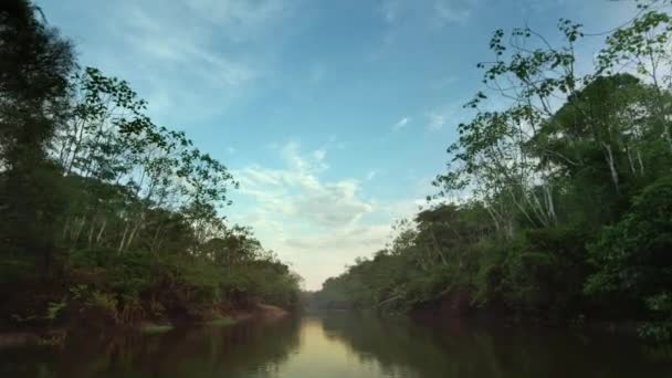 View Boat River Lush Tropical Rainforest Long Winding Jungle River — Stok video