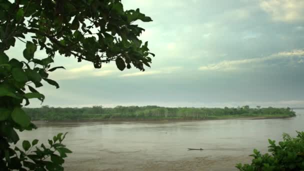 View Boat River Lush Tropical Rainforest Long Winding Jungle River — Vídeo de stock