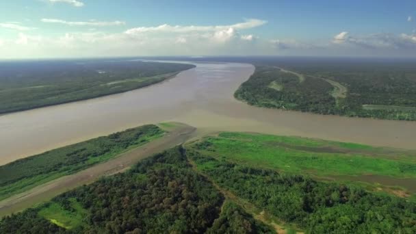 Aerial View Huge Green Ucayali River Surrounded Vegetation Pucallpa Peru — стоковое видео